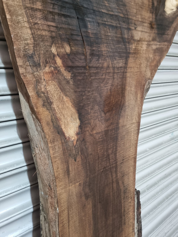 Live Edge Walnut Slab