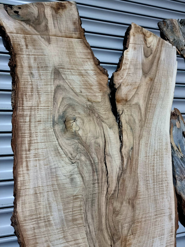 Walnut  up to a length of 2.2m