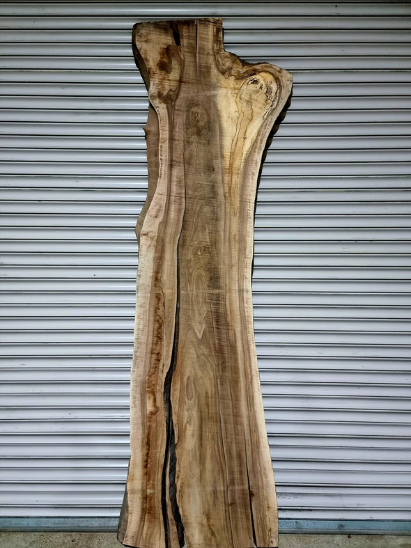 Walnut  up to a length of 2.8m