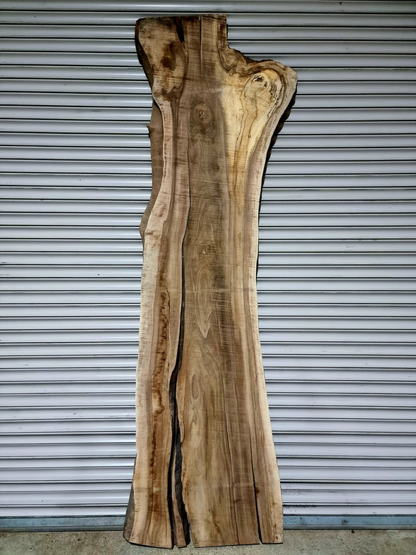 Walnut  up to a length of 2.8m