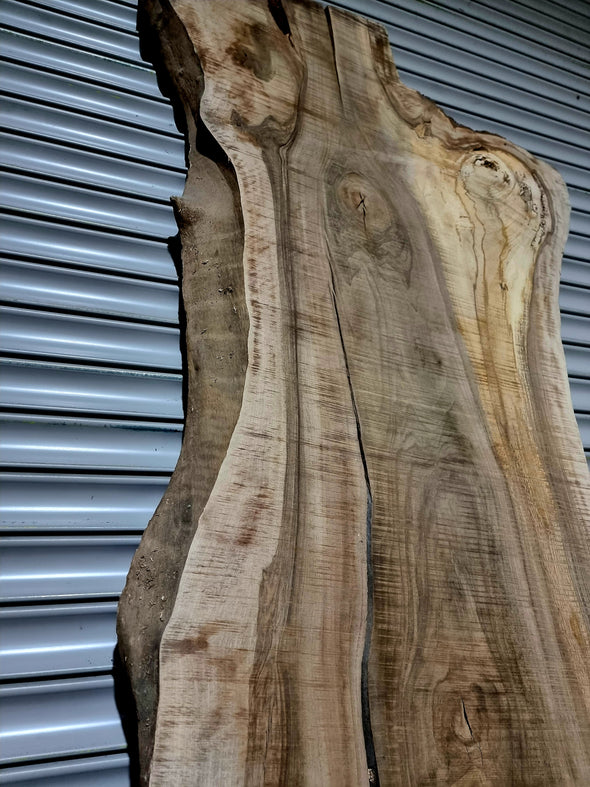 Walnut  up to a length of 2.8m