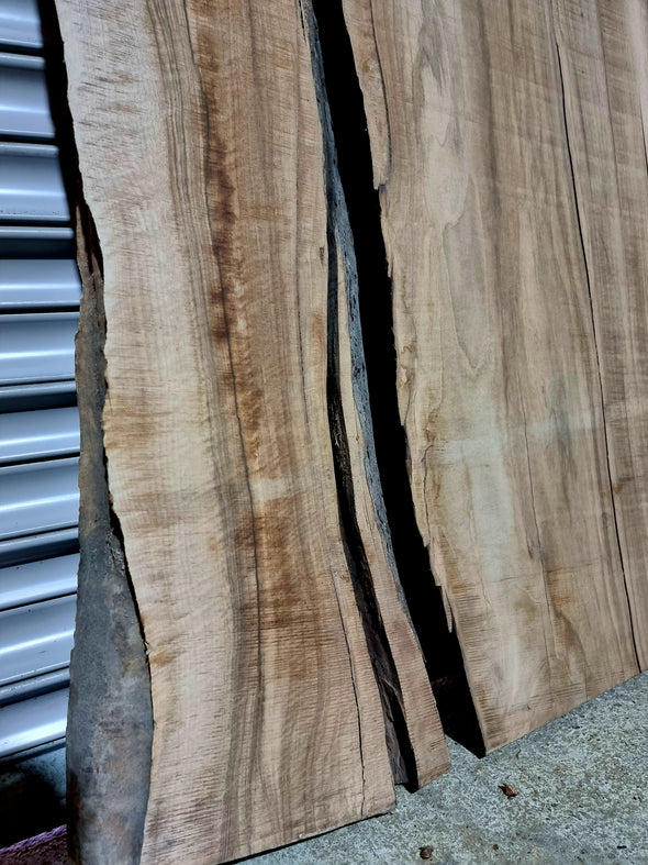 Walnut  up to a length of 2.8m