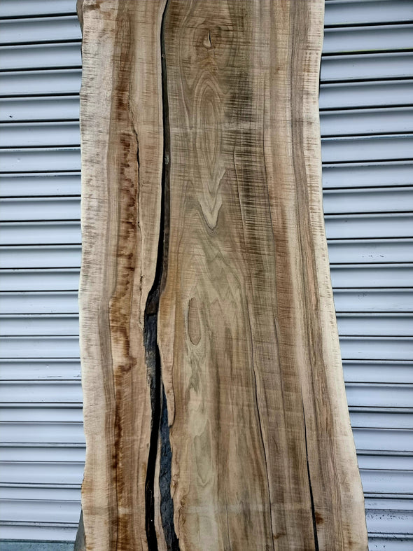 Walnut  up to a length of 2.8m