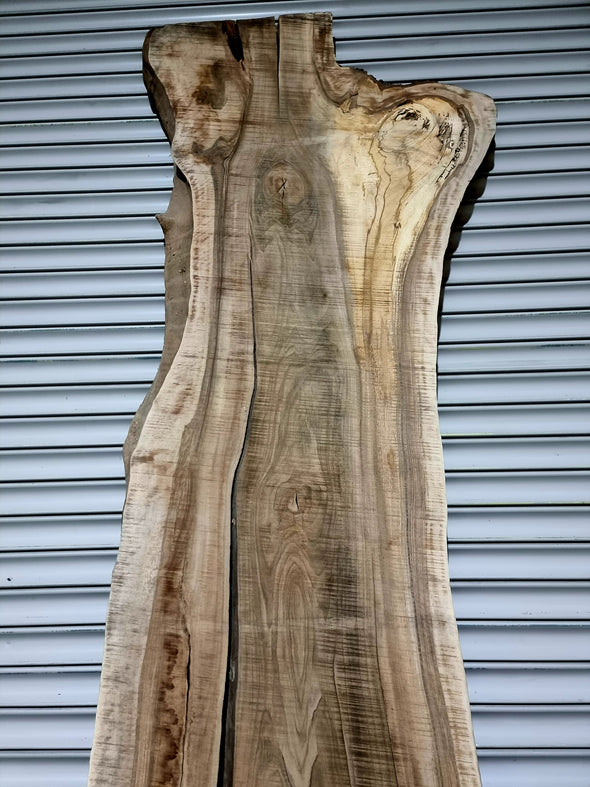 Walnut  up to a length of 2.8m