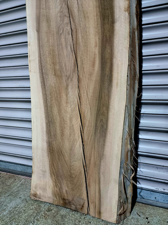 Walnut up to a length of 2.4m