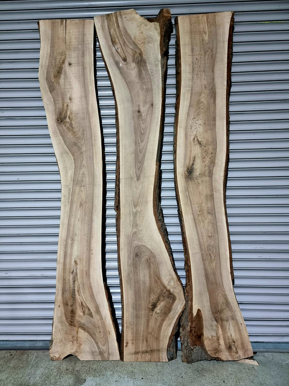 Walnut  up to a length of 2.7m