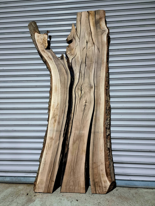 Walnut  up to a length of 2.2m