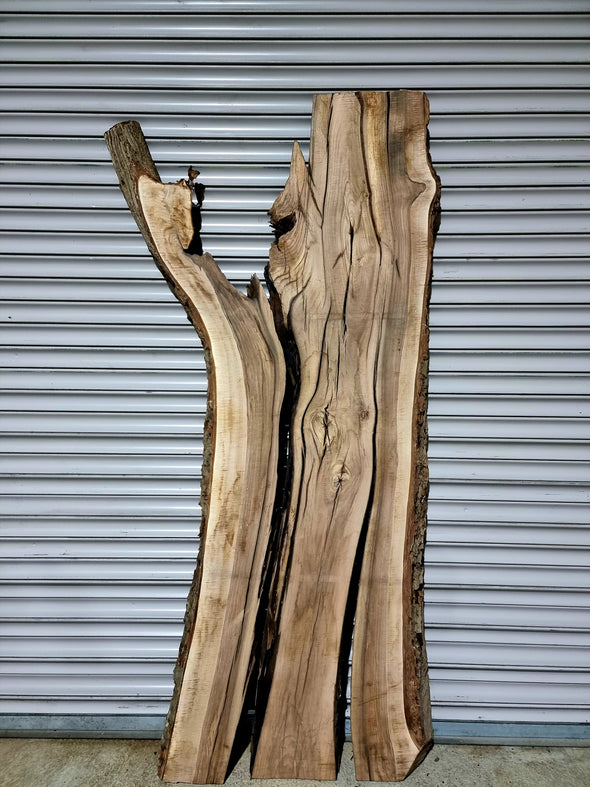 Walnut  up to a length of 2.2m